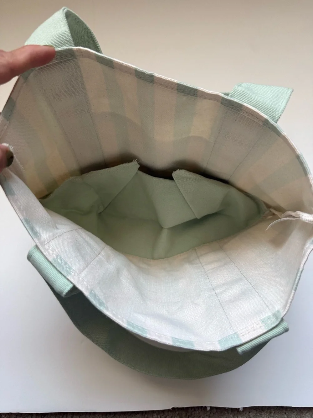 Trader Joe's Mint Green Striped Canvas Tote